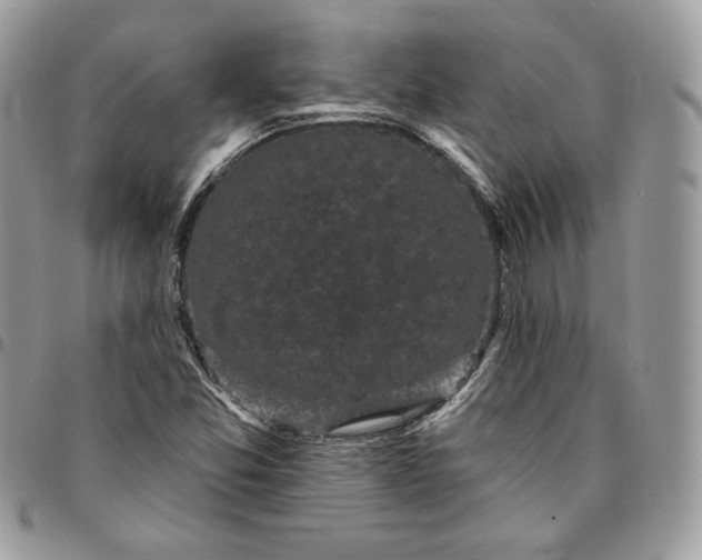 X0000095111357200712211311