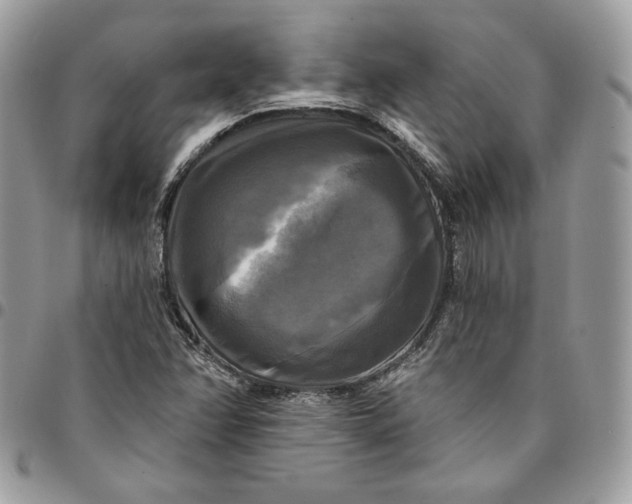 X0000095111358200712211311