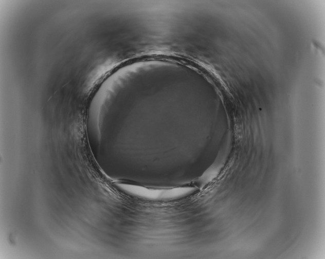 X0000095111359200712211311