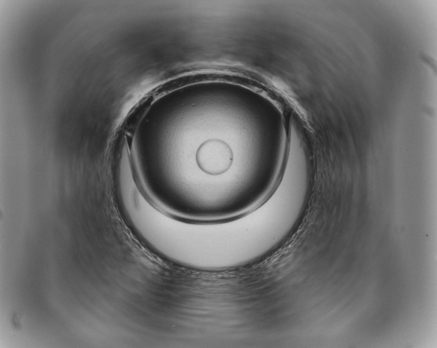 X0000095111360200712211311