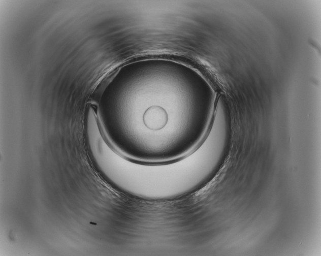 X0000095111361200712211311