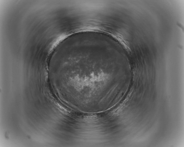 X0000095111363200712211311