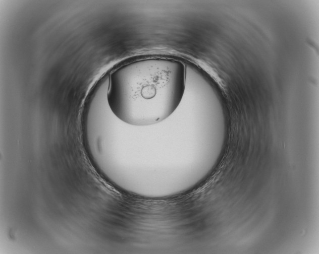 X0000095111364200712211311