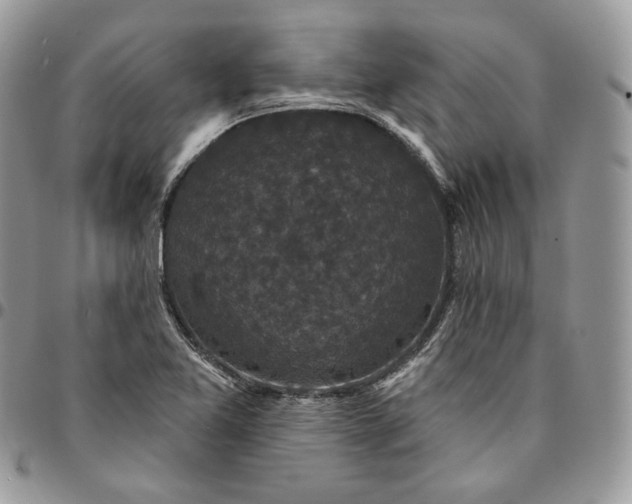 X0000095111365200712211311