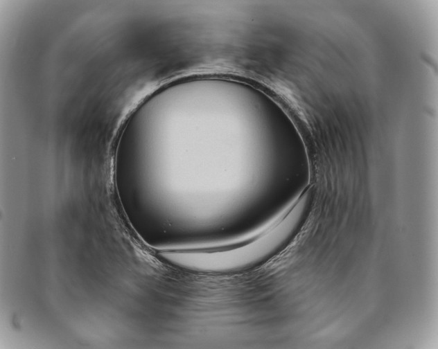 X0000095111366200712211311