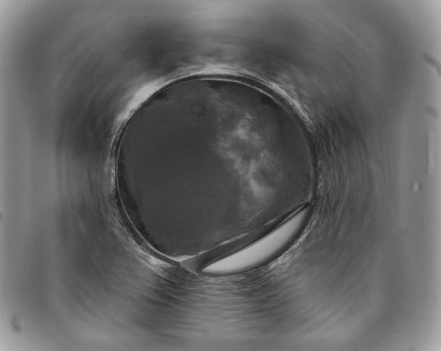 X0000095111367200712211311