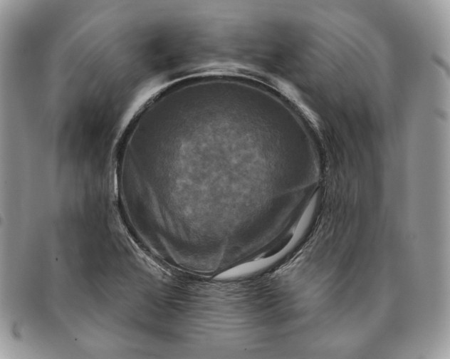 X0000095111368200712211311