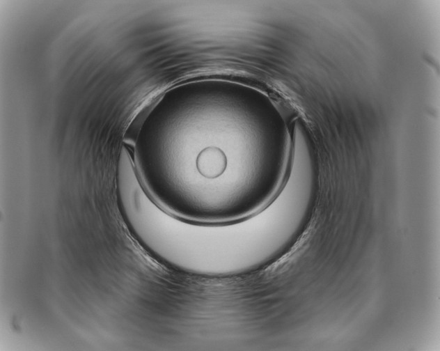 X0000095111369200712211311