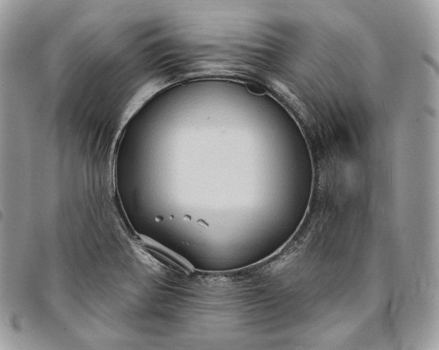 X0000095111370200712211311