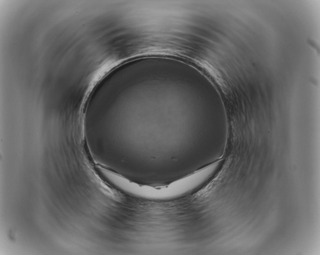 X0000095111371200712211311