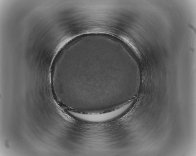 X0000095111372200712211311