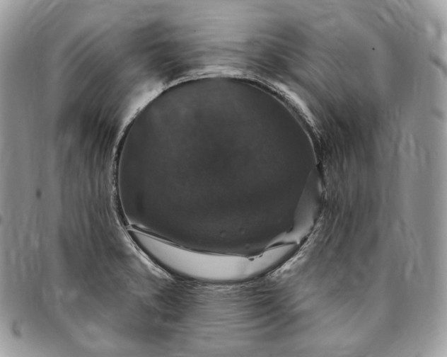 X0000095111373200712211311