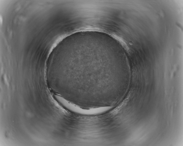 X0000095111374200712211311