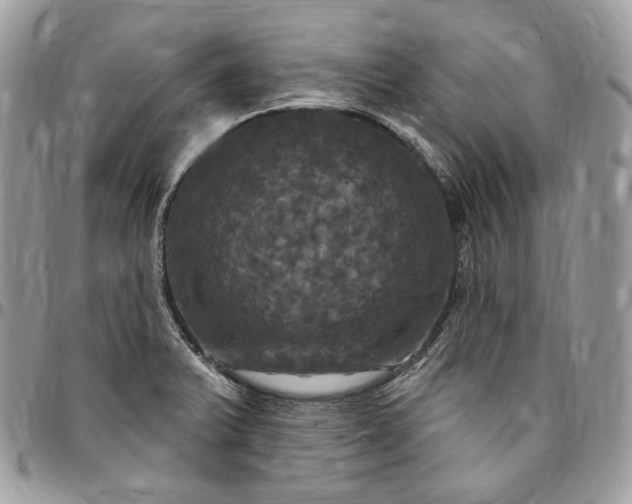 X0000095111375200712211311