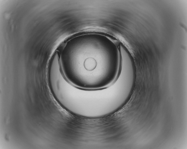 X0000095111376200712211311