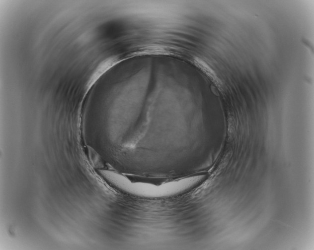 X0000095111378200712211311