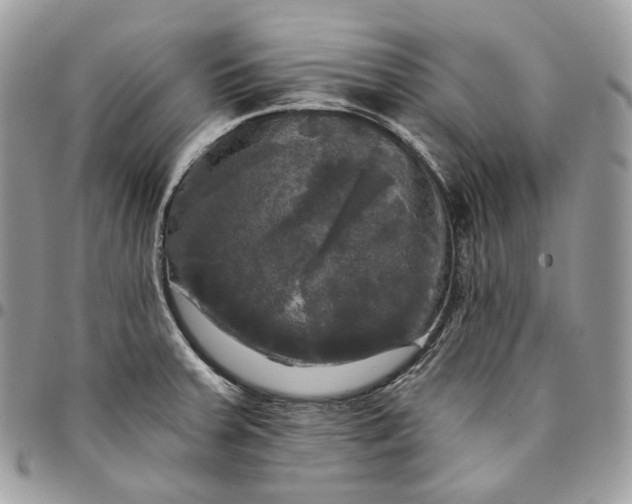 X0000095111379200712211311