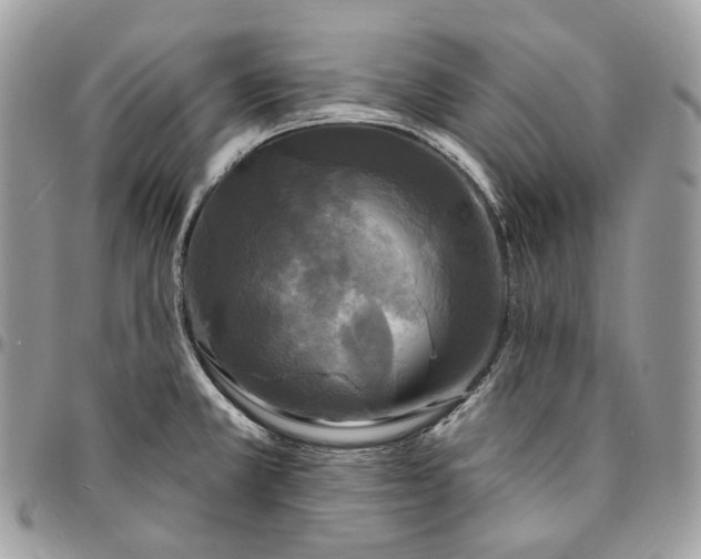 X0000095111381200712211311