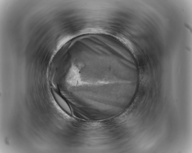 X0000095111382200712211311