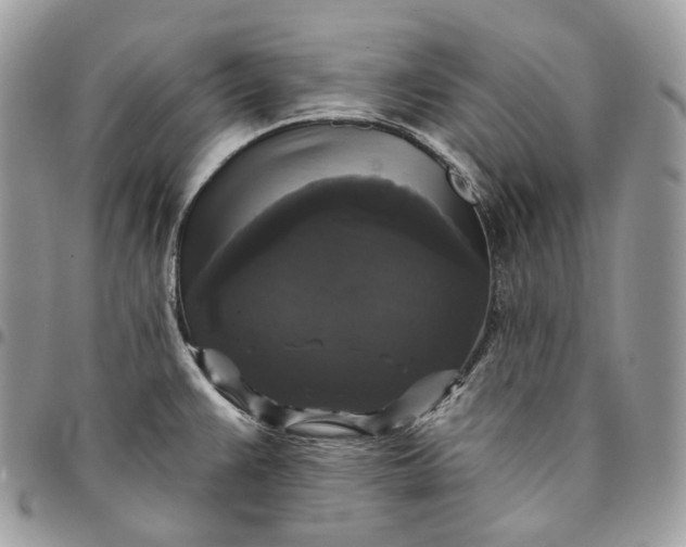 X0000095111383200712211311