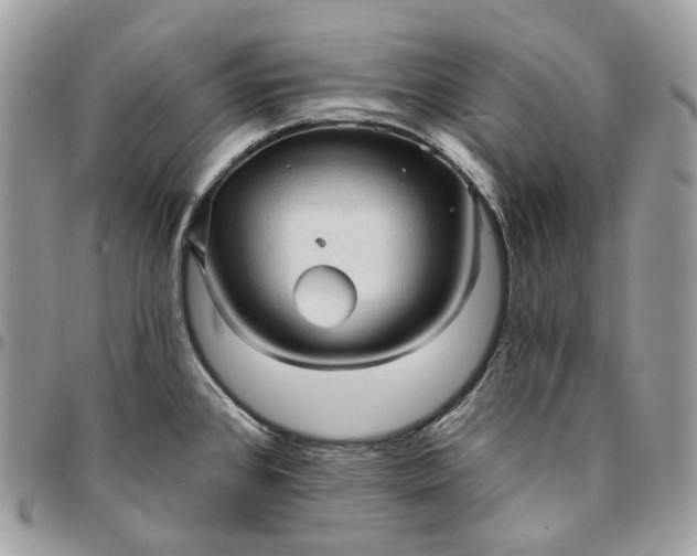 X0000095111384200712211311