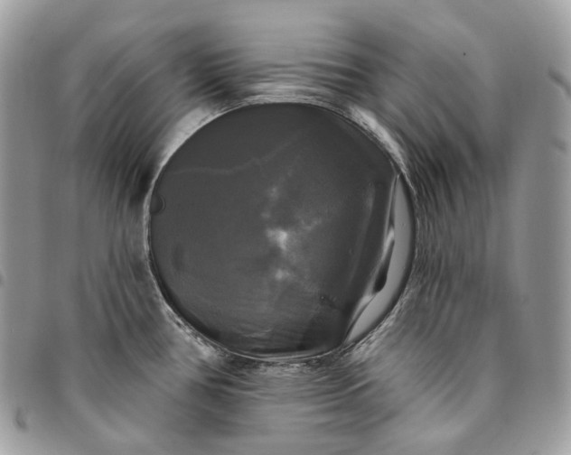 X0000095111386200712211311