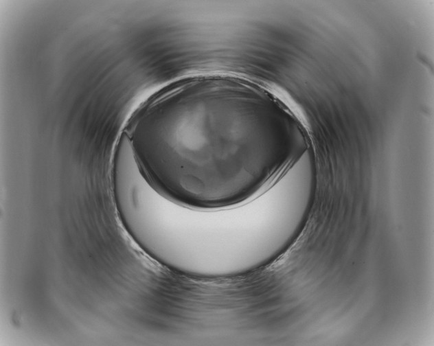 X0000095111388200712211311