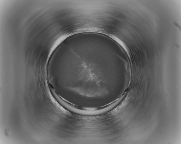 X0000095111389200712211311