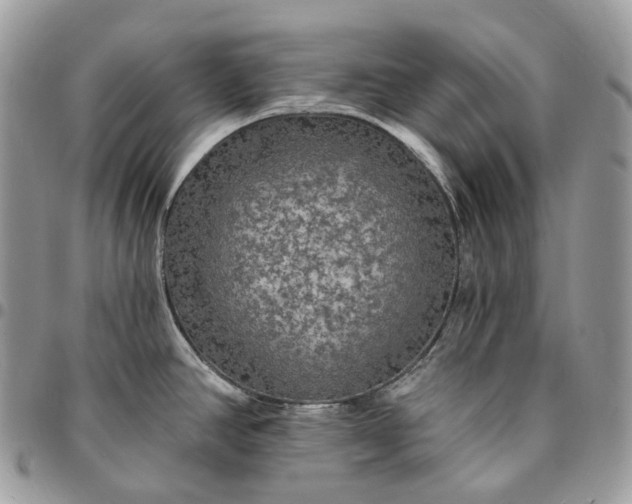 X0000095111390200712211311