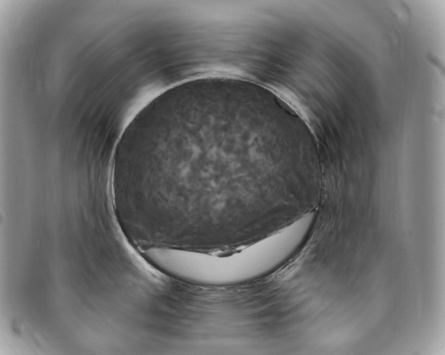 X0000095111391200712211311