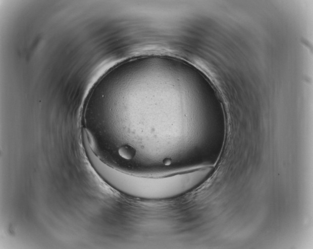 X0000095111392200712211311