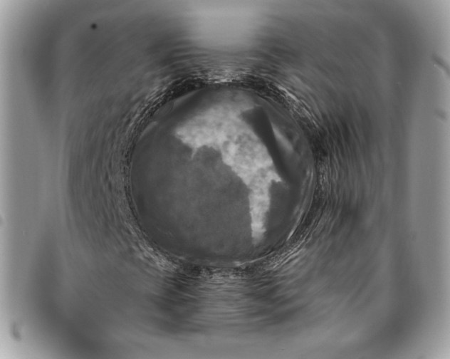 X0000095111393200712211310