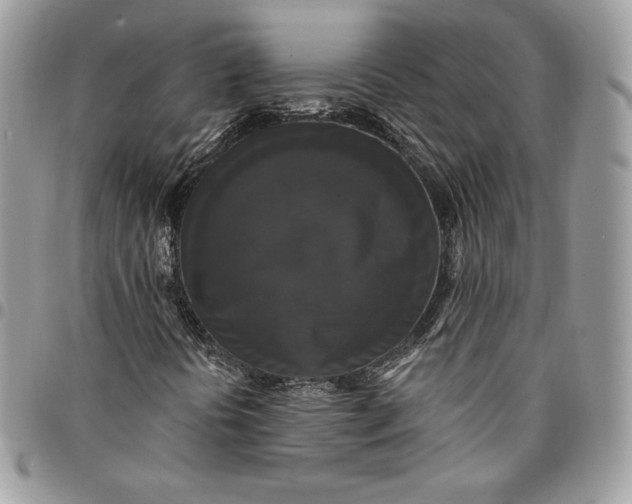 X0000095111394200712211310