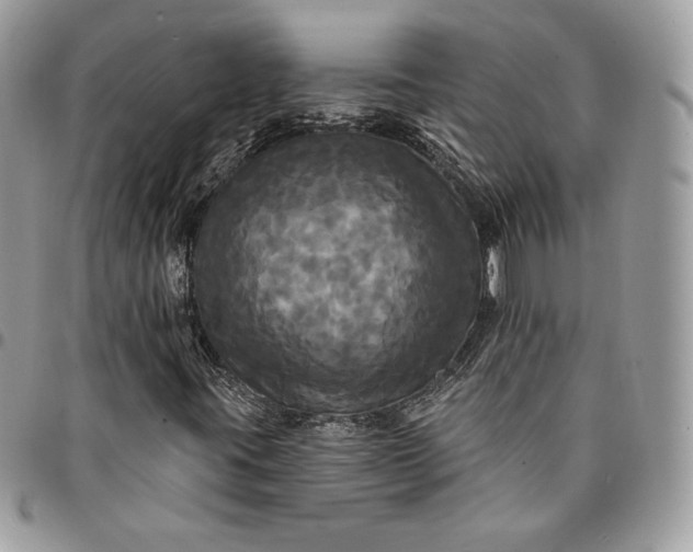 X0000095111395200712211310