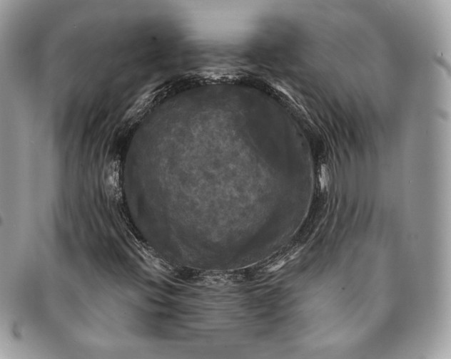 X0000095111396200712211310