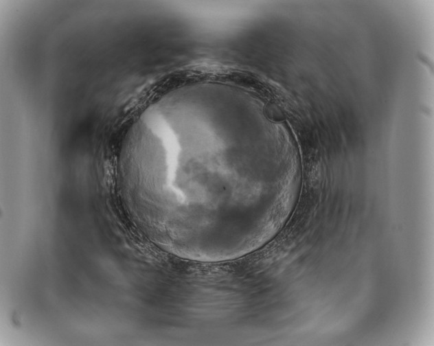 X0000095111397200712211310