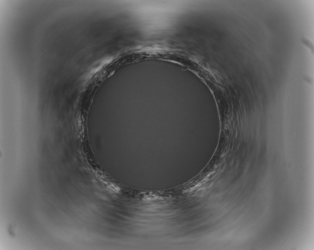 X0000095111398200712211310