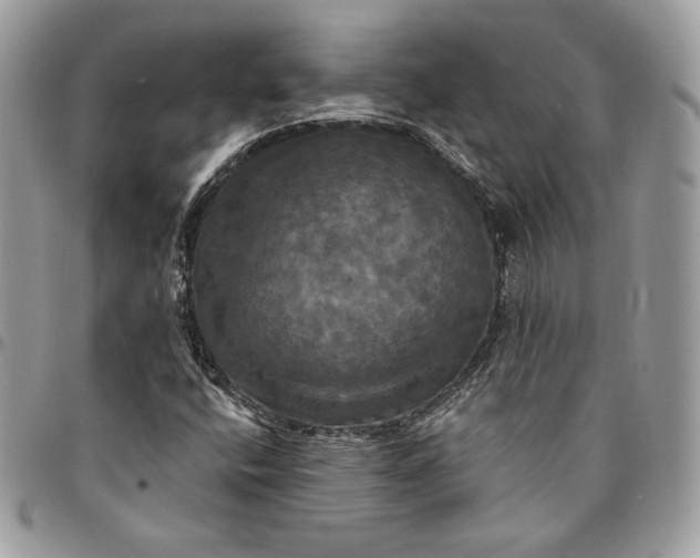 X0000095111400200712211310