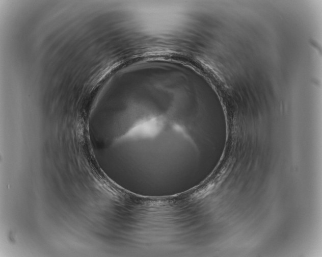 X0000095111401200712211310