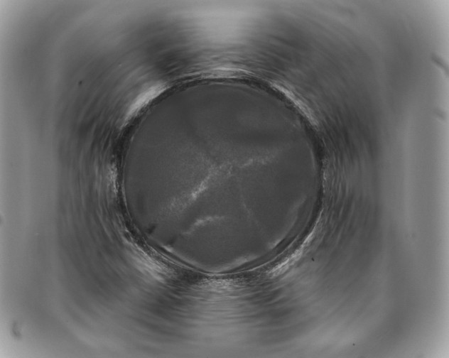 X0000095111402200712211310