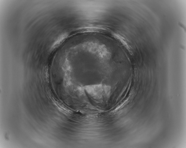 X0000095111403200712211310