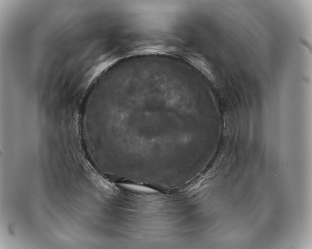 X0000095111404200712211310