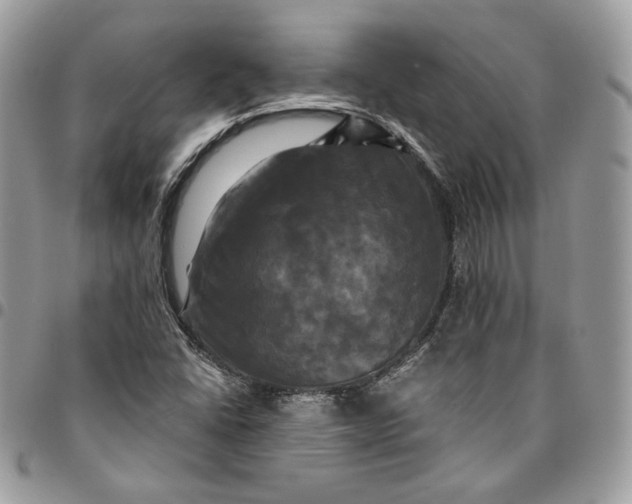 X0000095111406200712211310