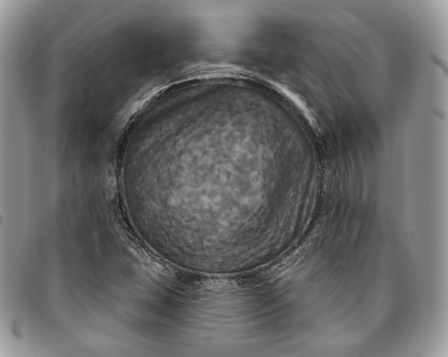 X0000095111407200712211310