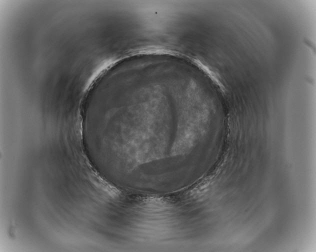 X0000095111408200712211310