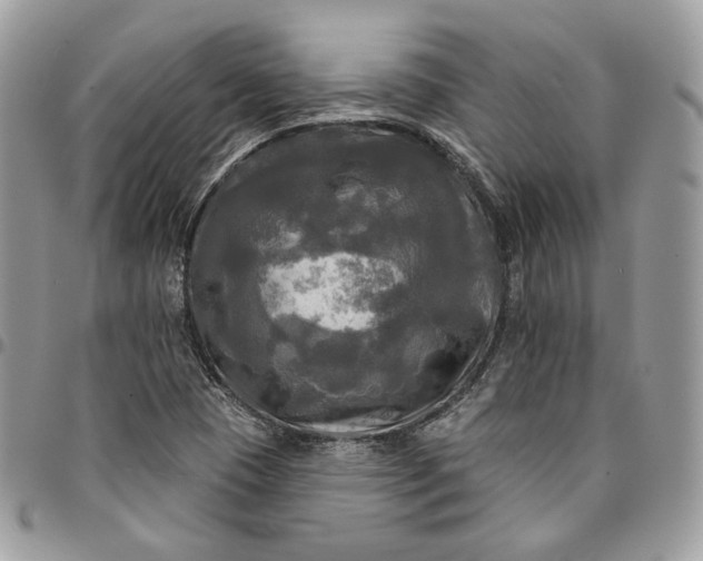 X0000095111409200712211310