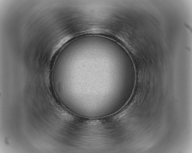 X0000095111410200712211310