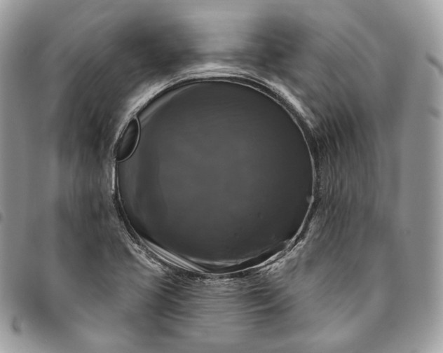 X0000095111413200712211310