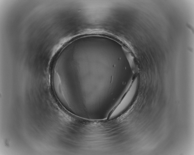 X0000095111414200712211310