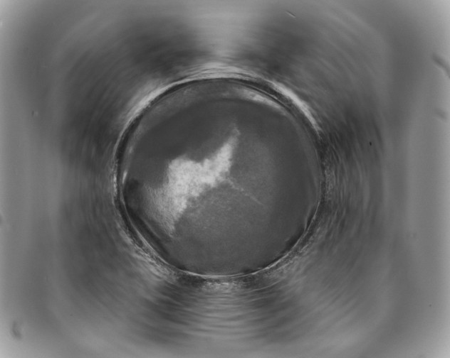 X0000095111415200712211310